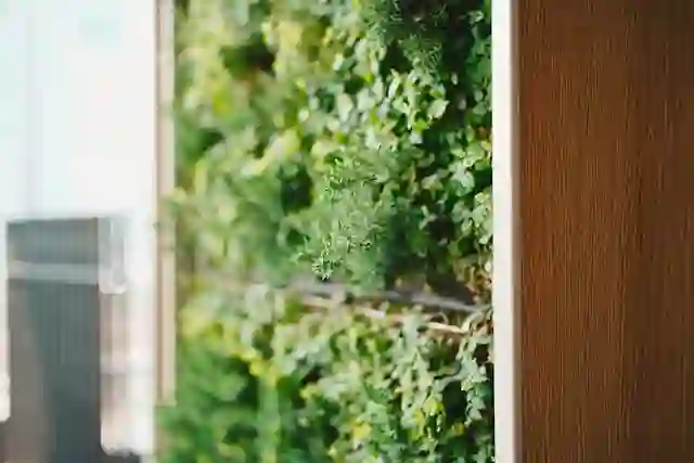 indoor garden images